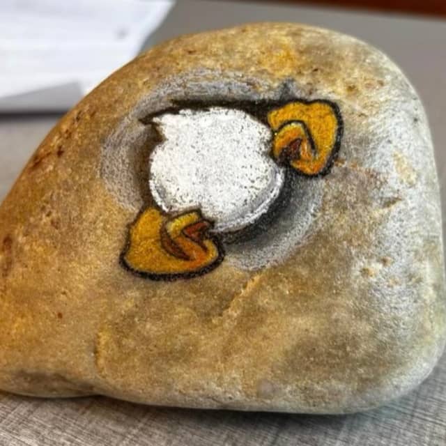 Profilbild von DD 313